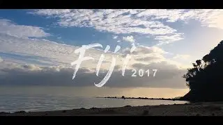 Fiji Shark Diving Adventures - Projects Abroad