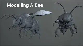 Modelling A Bee in C4D R25+  Beginner to Intermediate