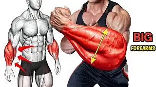 7 BEST FOREARM EXERCISES 💪 | BIGGER FOREARMS FAST