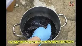 Increase Testosterone Naturally With Plantosterone | THE YOGA MAN LAB