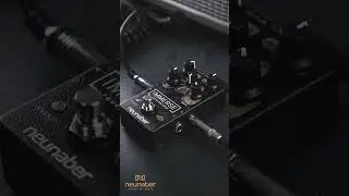 Neunaber Audio | Immerse: W3T #SHORTS #reverb #pedal