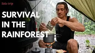 Solo Trip: Camping Alone in the Rainy Forest | Cooking Simple Meals & Sleeping in the Car
