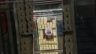 The cost of eggs! 🥚 🍳 🚨 #egg #price #aldi #shorts