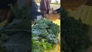 Root Cause Farm Share Market