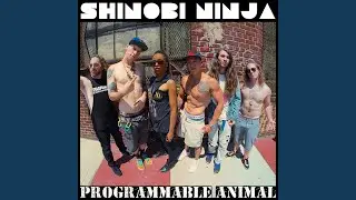 Programmable Animal