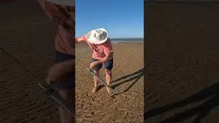 Pumping Yabbies #pump #yabbies #bait #fishing #fishingvideo #sand #trending #shorts #australia #big