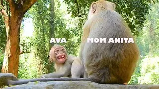 Poor Ava scare mom Anita doing request milk from mom