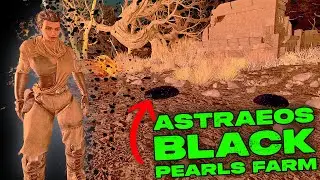Astraeos BLACK PEARL Farm LOCATION!!!! How To Get TONS of Black Pearls in Ark Survival Ascended!!!