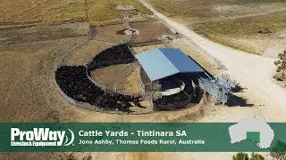 ProWay Cattle Yards - Thomas Foods Rural, Tintinara SA