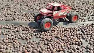 #RC Car🏎️