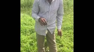 water divining using coconut and pendulam