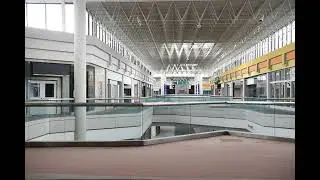 (libet's delay)  (echo in the mall)