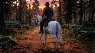 Cowboy Ambience Solitary Sunset Ride 🤠 Horseback Riding ASMR No Music   4K Nature Sounds Hoofbeats