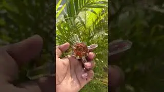 Yellow Jasper Orgone Genrator #reiki #chakrabalancing #trending #healingcrystal #reiki #crystalshop
