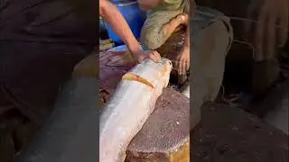 Amazing Huge Red Snapper Fish Cutting Skills || Perfect Fish Cutter Shimul #fishcuttinginbangladesh