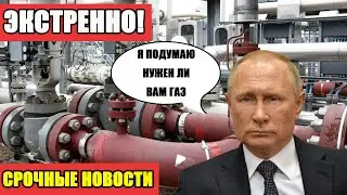 ШОК! Германия просит Россию восстановить поставки газа &mdash; ответ Москвы застал Европу врасплох!
