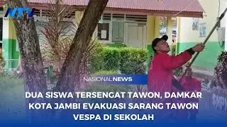 DUA SISWA TERSENGAT TAWON, DAMKAR KOTA JAMBI EVAKUASI SARANG TAWON VESPA DI SEKOLAH