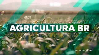 Agricultura BR 3ª Edição | 06/01/2026