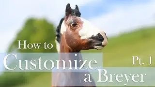 How To Customize A Breyer Horse Pt. 1 - Step by Step