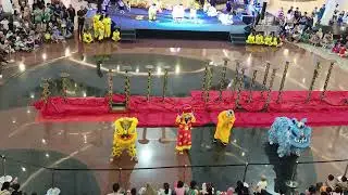 Barongsai Karawang Resinda Park Mall