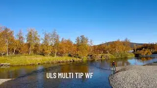 ULS WF Multi Tip Fly Line