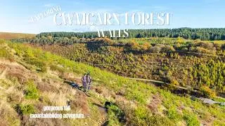 Fall Mountain biking in Cwmcarn Forest, Wales - dog friendly biking trails
