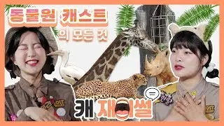 [캐재미썰] 현직 동물원 캐스트가 알려주는 에버랜드 동물원 이용 꿀팁! | 꼭 보고 오세요!