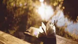 the book of desires