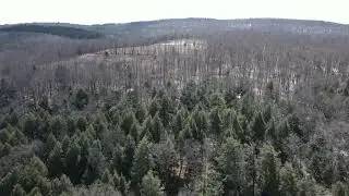 State Highway 165, Roseboom NY