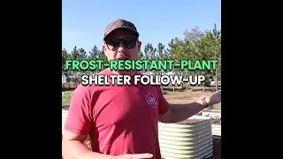 Frost-resistant-plant shelter follow-up