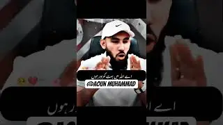 Lessons on Provision from the Quran