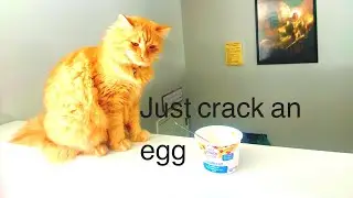 Mango makes Just Crack an Egg