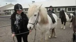 Icelandic horse-riding adventure