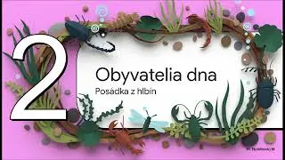 Skryt&yacute; svet jazierka