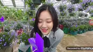 [ENG SUB] Minigame Challenge with Hyunjin