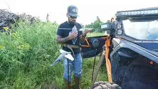 Mojo Flicker & Lucky duck Dove decoy