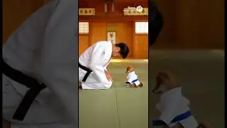 These animals are more polite than some humans! #judo #training #respect #manners #cute #cats #dogs