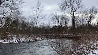 Winter Stream@ cool days with Grady