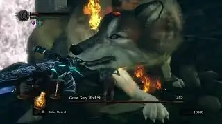DS1 SL1 All Bosses No Hit/No Pyro