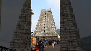 A Short Video On Arunachalam Temple ||Arunachalam Temple Darshanam ||  #arunachalam #tiruvannamalai 