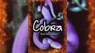 [FREE] Some Random UK Drill Beat|909, Grime 808 Type Beat 2022 - ,,COBRA'' (Prod. Dave x Ayumi)