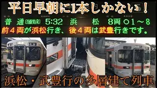 【平日早朝限定！】東海道線の普通浜松・武豊行に乗ってきた