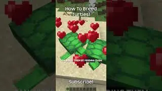 How To Breed Turtles In Minecraft?!