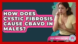 How Does Cystic Fibrosis Cause CBAVD In Males? - Cystic Fibrosis Health Hub
