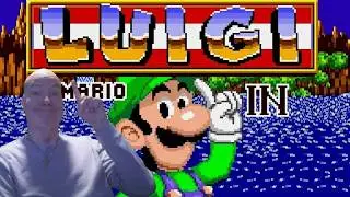 Luigi the Hedgehog