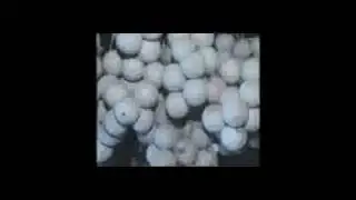 Lords Cricket Balls