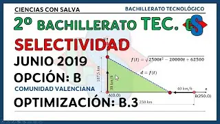 6 Selectividad B.3 CV Junio 2019. Optimizaci&oacute;n.