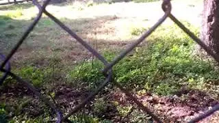 Ameenuddeen college of education butts center vet zoo