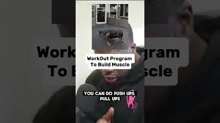 Workout Program To Build Muscle #shorts