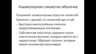 13.40 ОРГАНЫ РОТОВОЙ ПОЛОСТИ